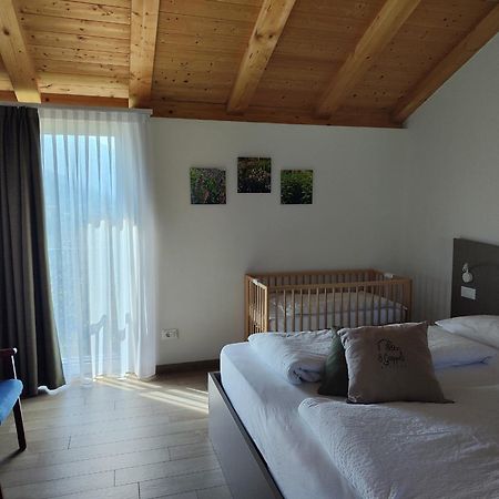 8 Grappoli Agritur Villa Trento Kültér fotó