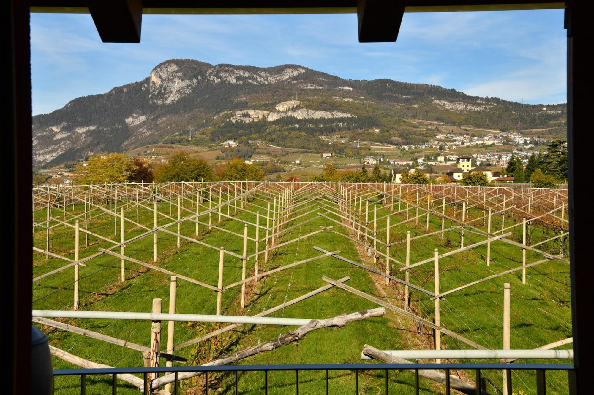 8 Grappoli Agritur Villa Trento Kültér fotó