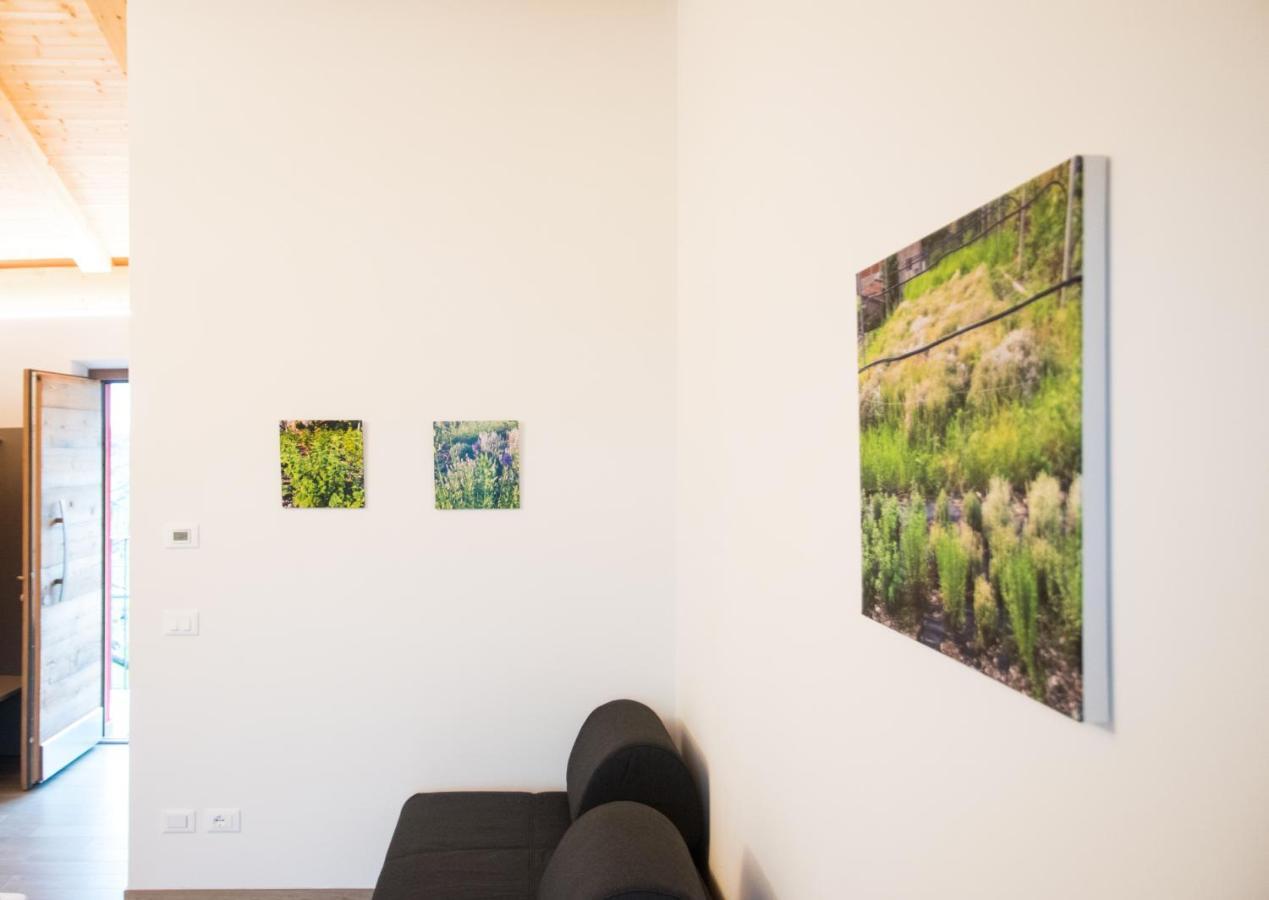 8 Grappoli Agritur Villa Trento Kültér fotó